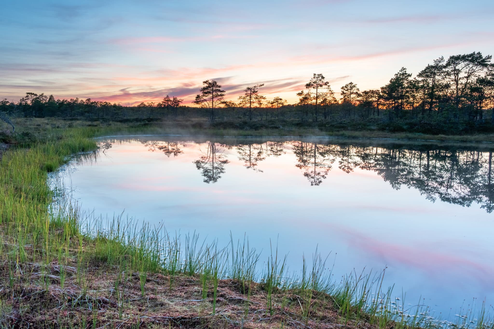 Bog lake at sunset with soft reflections