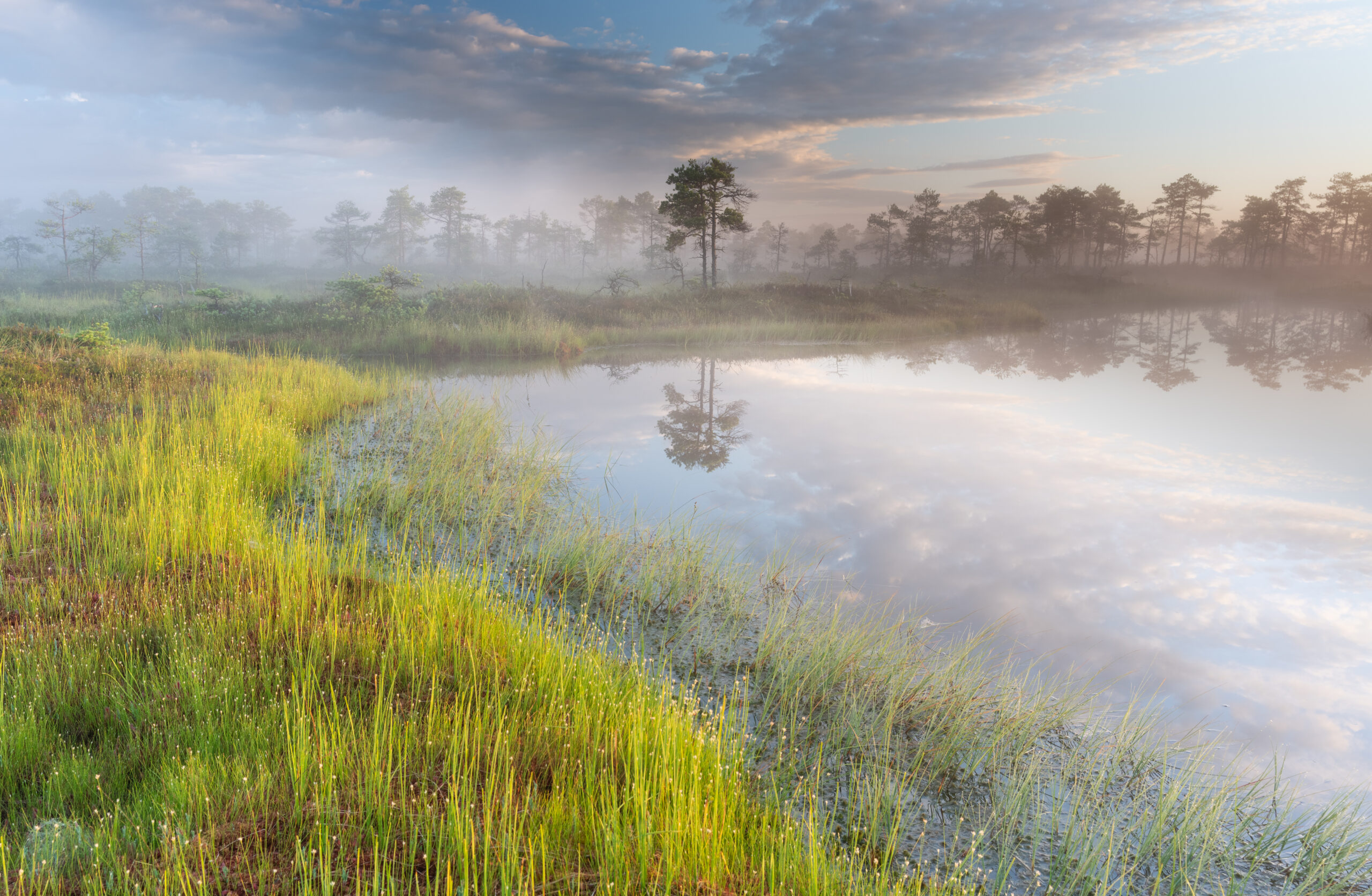 Bog walking in Estonia Rabamatkad Eesti